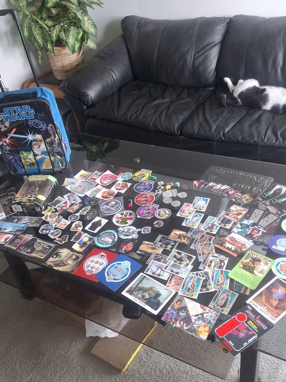 Star Wars Collection LOT